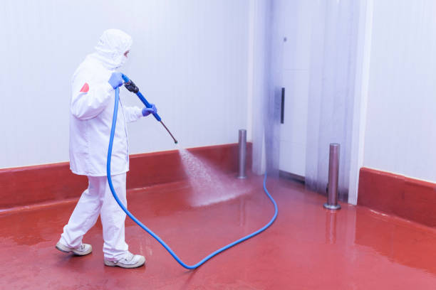 Best Sidewalk and Walkway Cleaning  in Waipio, HI