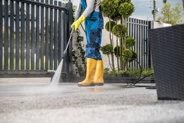 Best Gutter Cleaning  in Waipio, HI